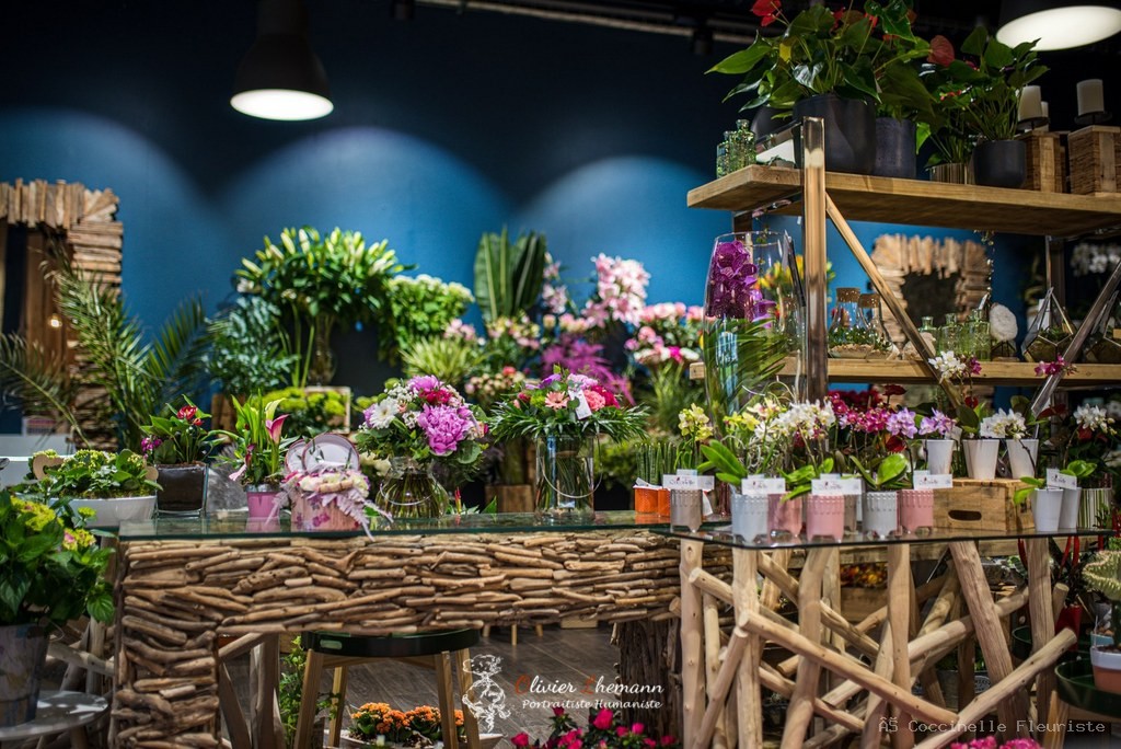 Boutique Coccinelle Fleuriste à Lannion