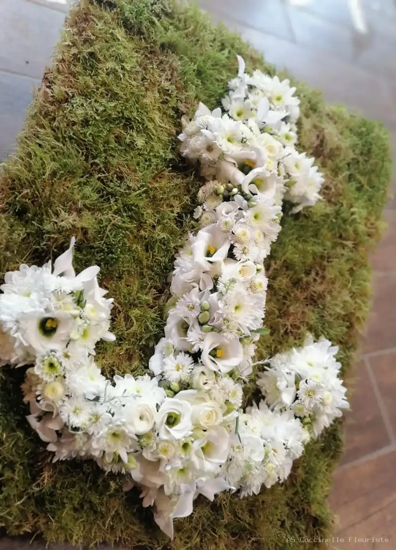 Ancre blanche — composition florale Coccinelle